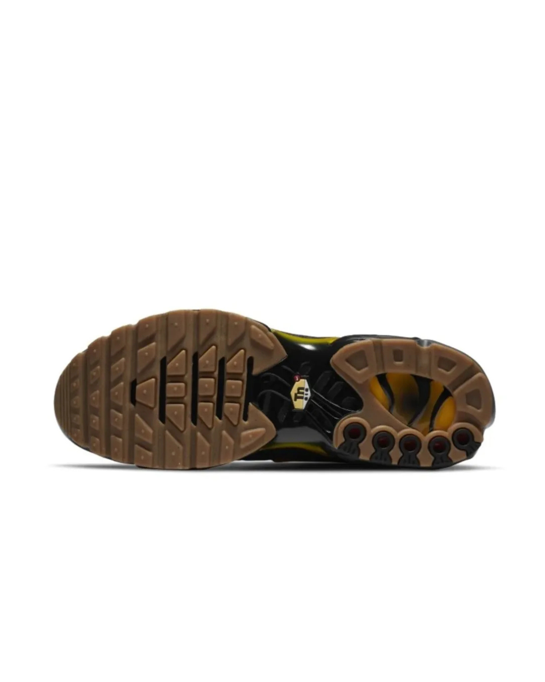 Air Max Plus “Compass”