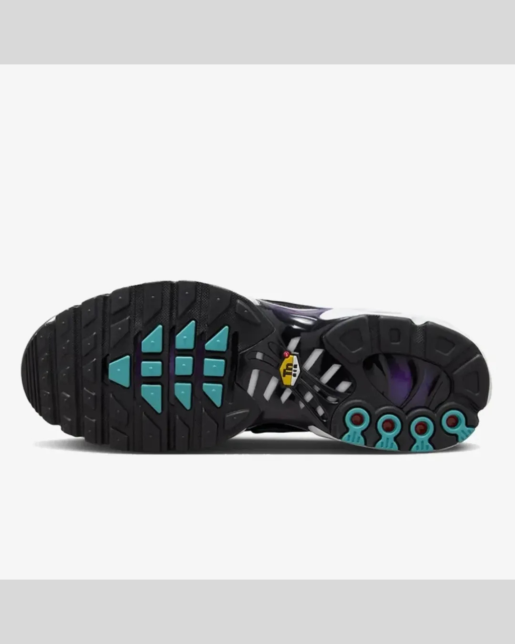 Air Max TN Purple Fade