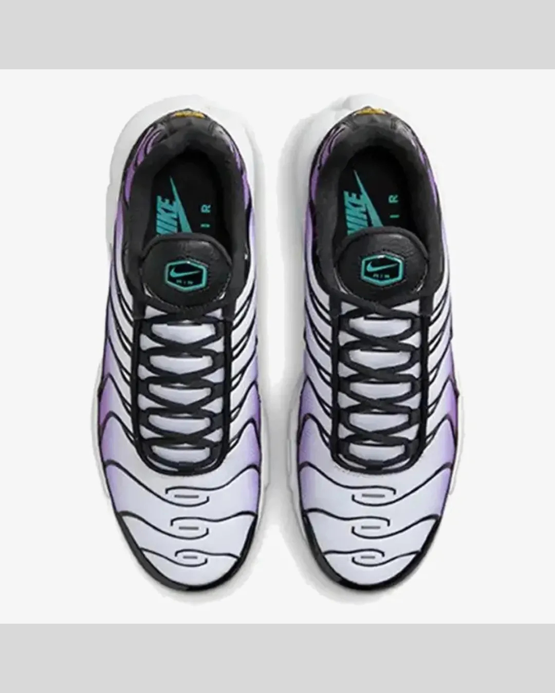 Air Max TN Purple Fade